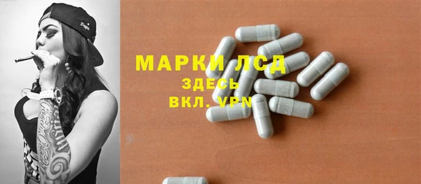 spice Медвежьегорск