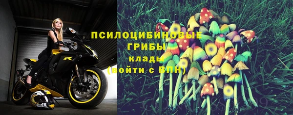 ALPHA-PVP Армянск
