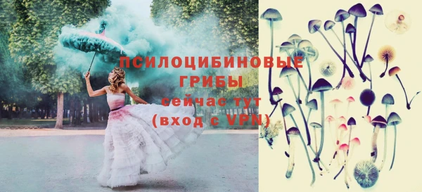 гидропоника Аркадак